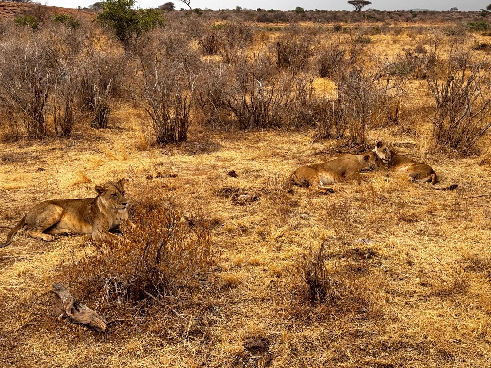 Laikipia & Samburu